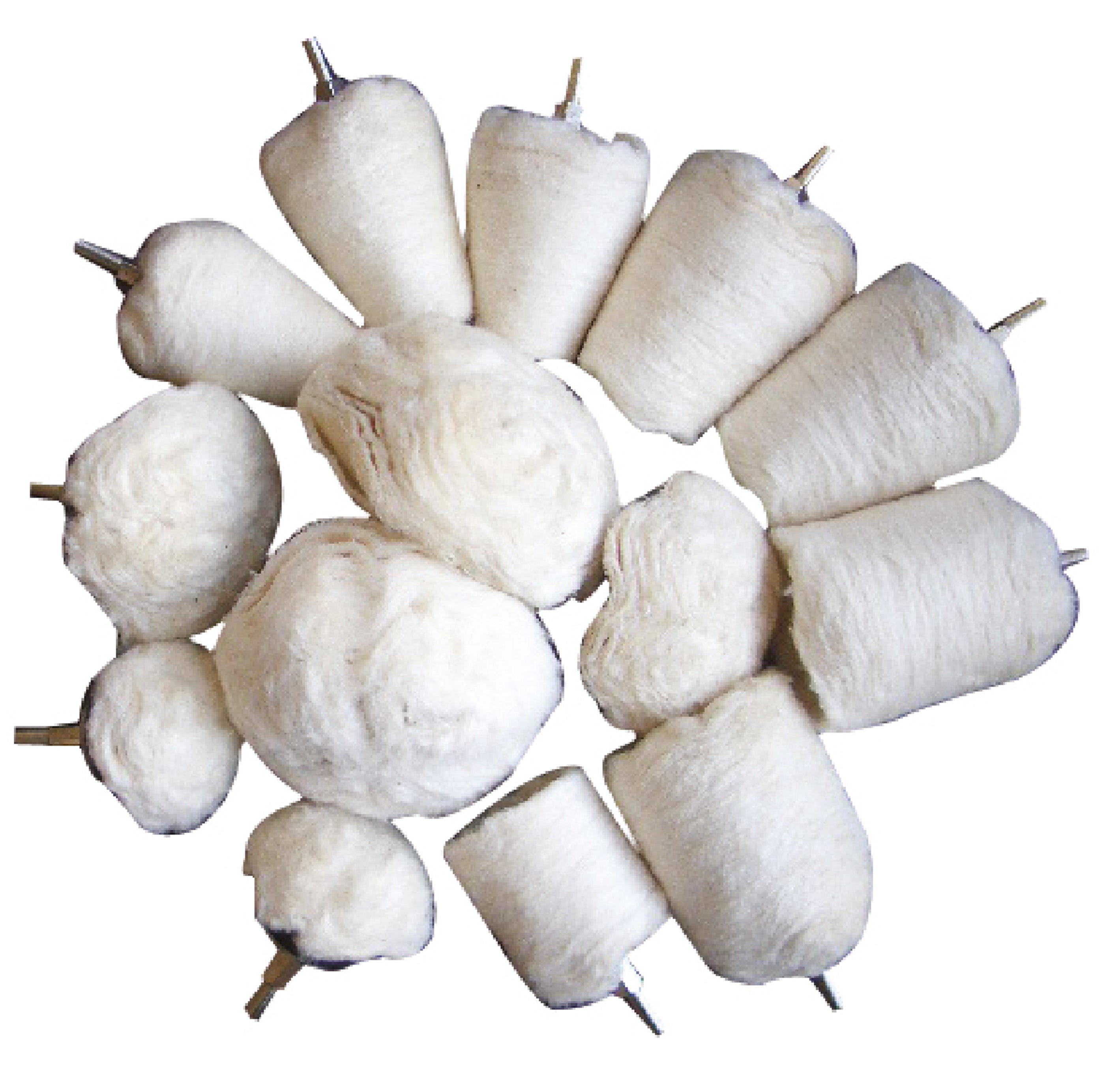 Poleringstrissa-Sortiment | 6,3 mm (1/4") | 14 delar