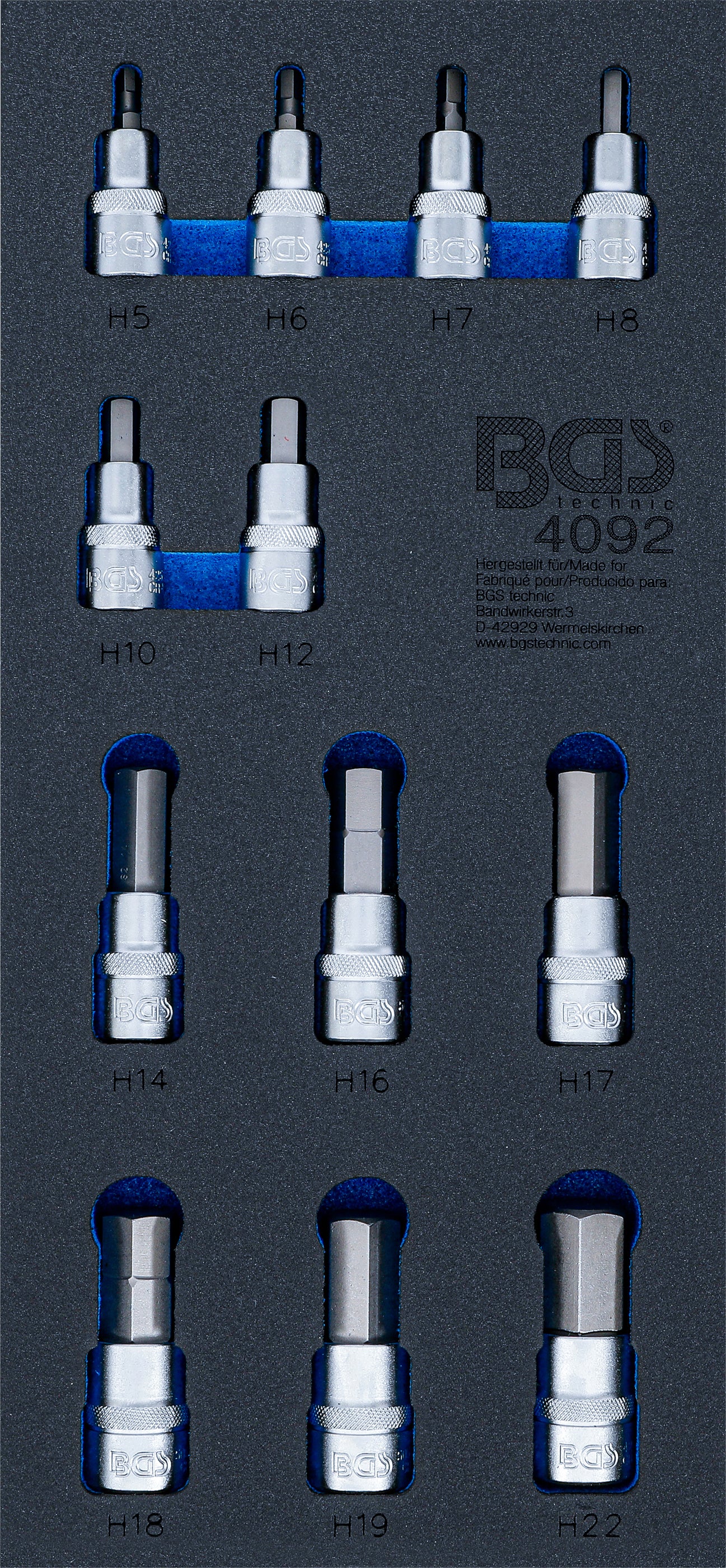 Værkstedsvognsindsats 1/3: Bit-indsatssæt | Indvendig sekskant | 12 dele