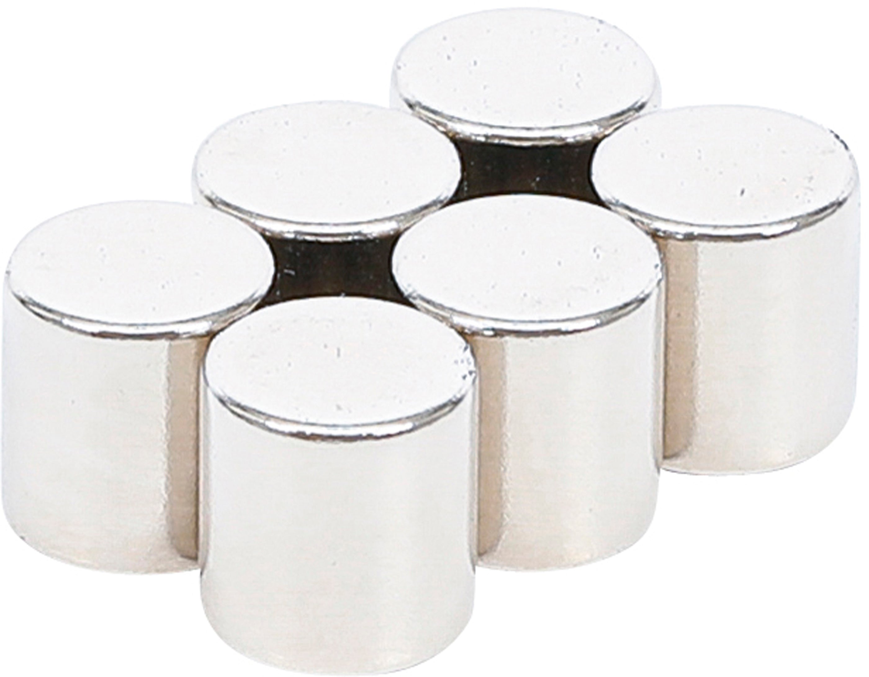 Magnet-sats | extra kraftig | Ø 9,5 mm | 6 delar